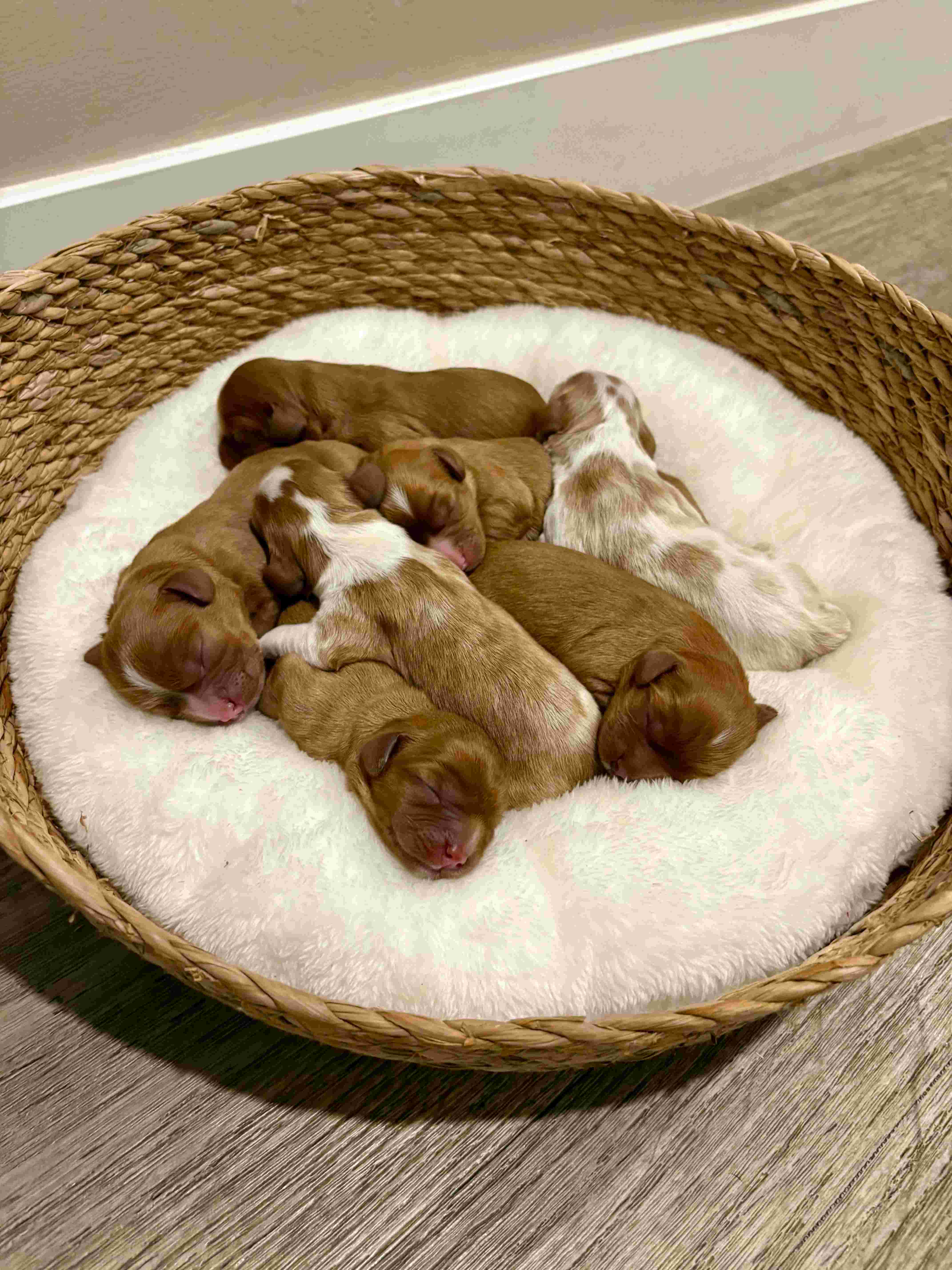 Gallery Image 9